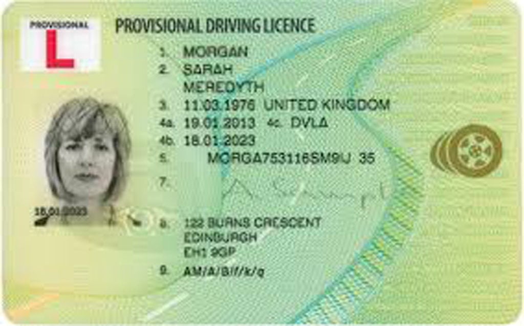 New driver license photo 1
